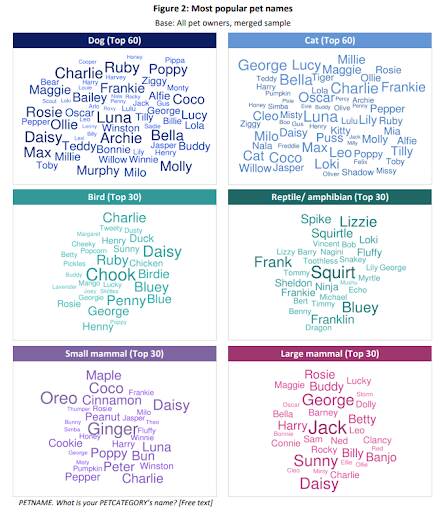 Most common pet names according to Victoria's first pet census. Picture from Vic Government 