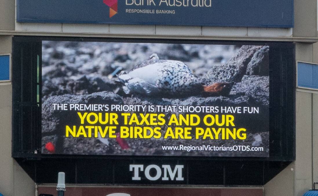 An anti duck hunting billboard on display at the corner of Wills Street and Mitchell Street in Bendigo. Picture by Enzo Tomasiello