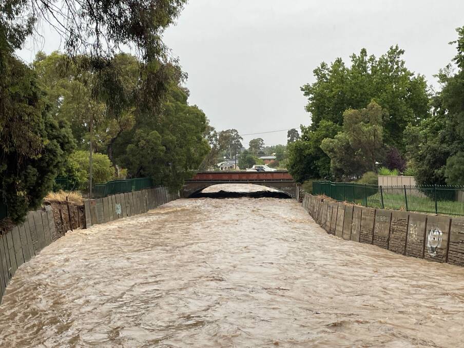 Bendigo Creek at Golden Square on Wednesday, January 2. Picture by Ayden Dawkins
