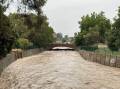 Bendigo Creek at Golden Square on Wednesday, January 2. Picture by Ayden Dawkins