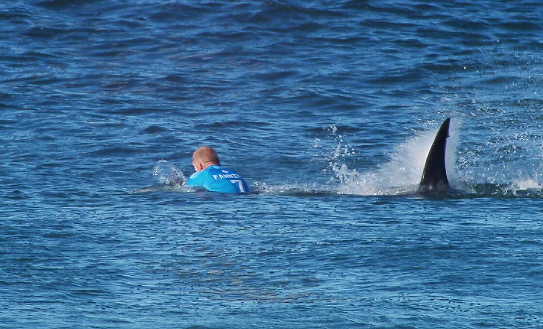 The attack on surfer Mick Fanning has done sharks no favours in the PR stakes, as pointed out by Deadly 60's Steve Backshall,