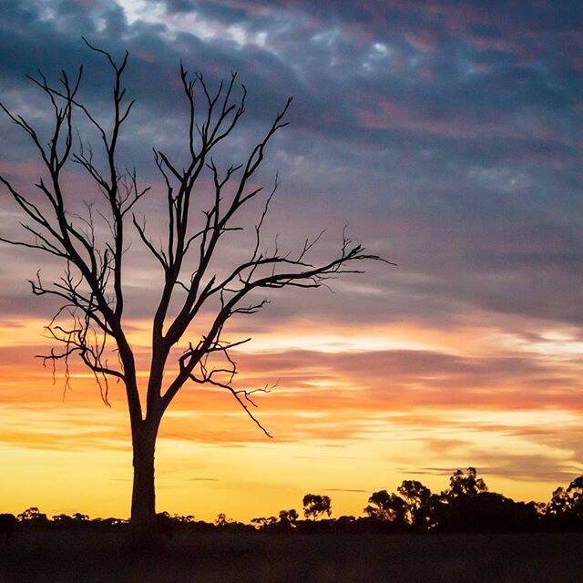 "Crazy colours from Friday night." Today's Instagram #picoftheday is by @kyliek_photography - tag your weather pics #bendigoweather and we'll feature the best ones here.