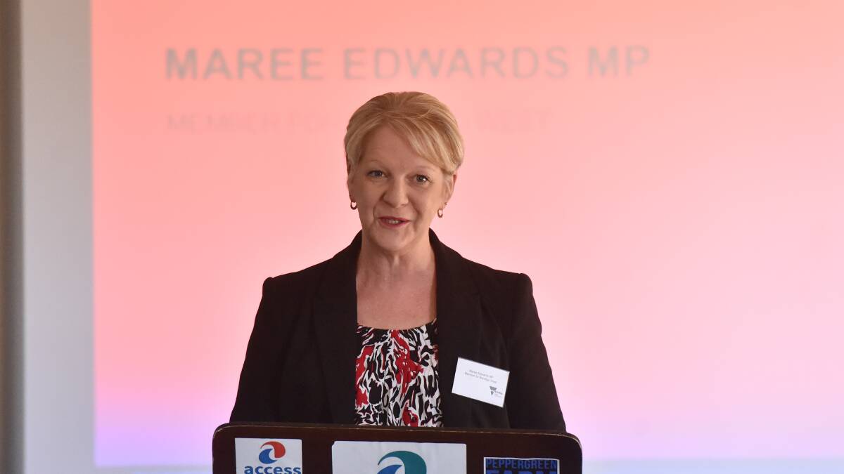 Maree Edwards believes Bendigo could benefit from the renewable energy target. Picture: DARREN HOWE