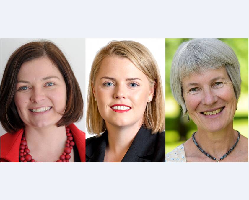 Labor MP Lisa Chesters, Liberal candidate Megan Purcell and Greens candidate Rosemary Glaisher will answer questions live on Friday morning.