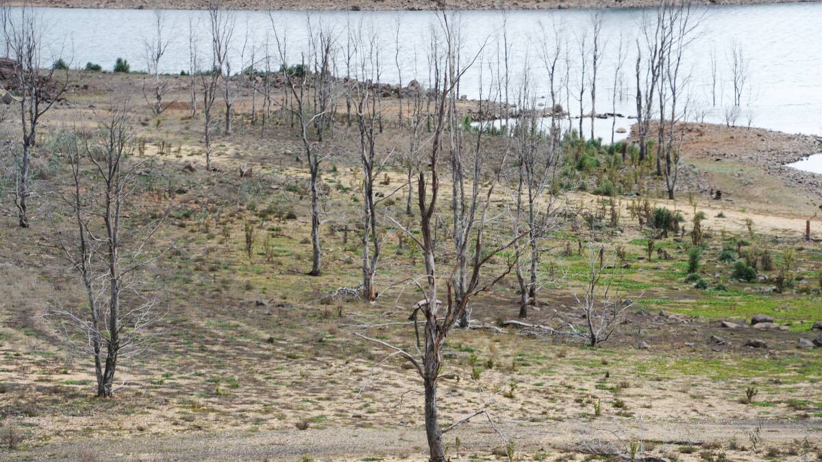 As Lake Eppalock dries up in the east, and the Loddon region struggles through the dry in the west, Goulburn-Murray Water says farmers don't need to panic. Picture: DARREN HOWE