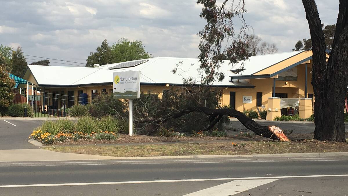 Strong winds on Saturday brought down this branch onto powerlines on Napier Street in White Hills. It was one of a number of callouts for local fire brigades. Picture: Adam Holmes