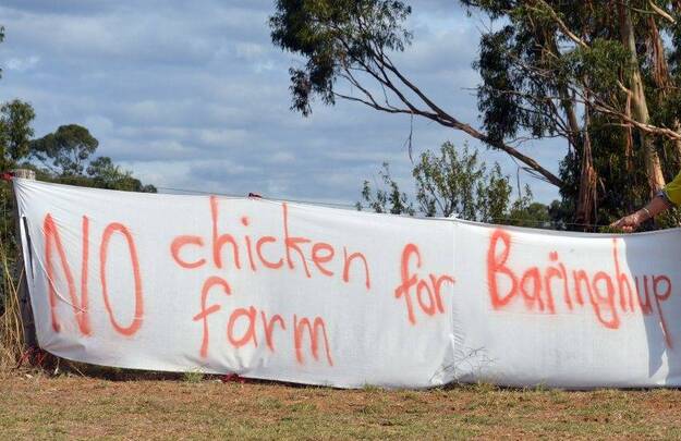 The proposed Baringhup broiler farm has received strong opposition from surrounding communities, but the applicant still believes the project can proceed.