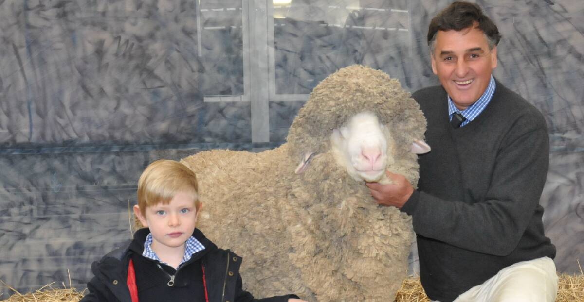 INTEREST: The second highest priced ram at the 2015 Merino auction fetched $28,000. It is pictured with vendor Chris Clonan, Alfoxton, Armidale, NSW.
