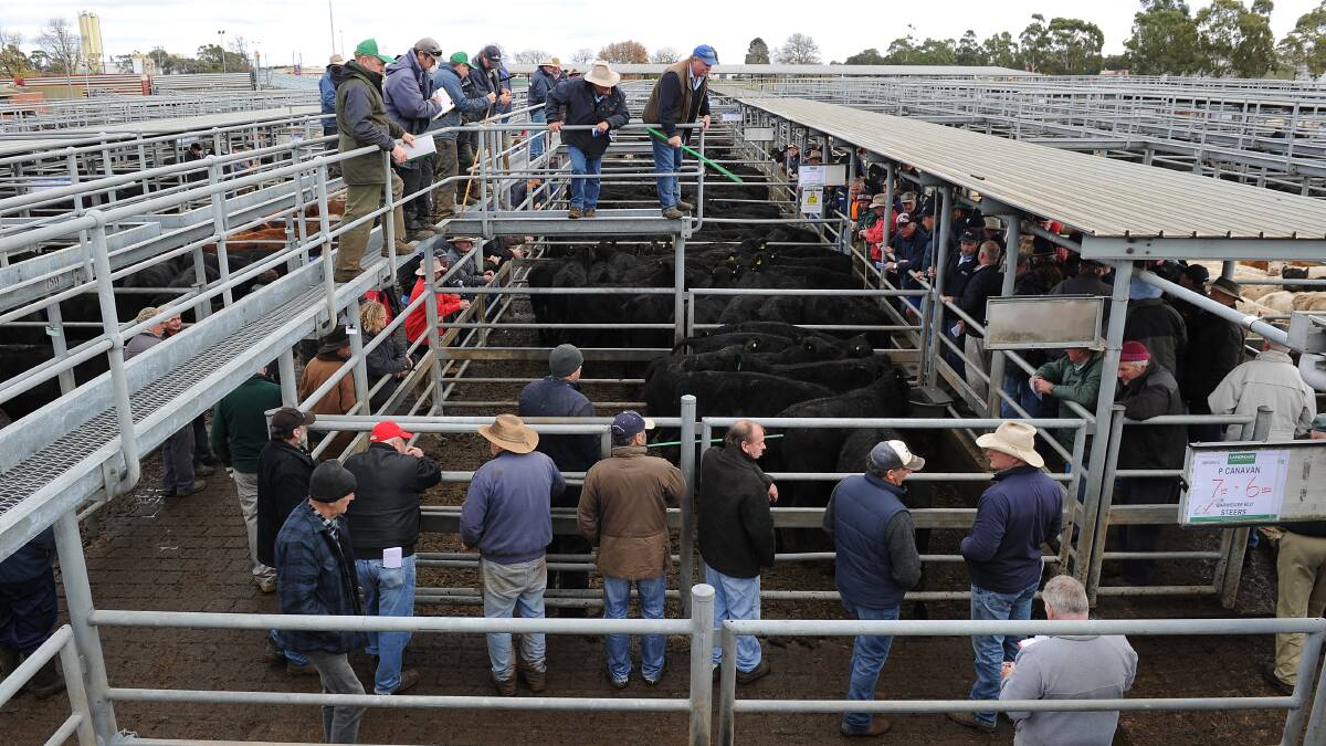 Shires open to saleyards move
