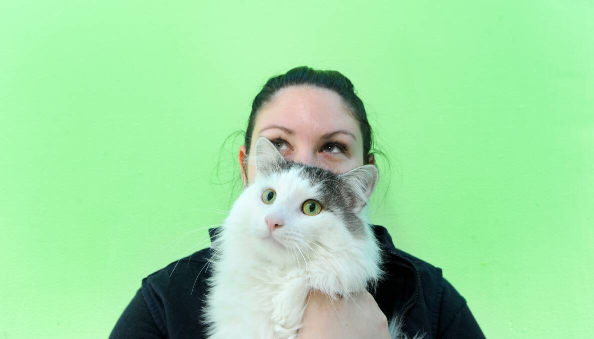PRICELESS PAWS: Merlin the cat with RSPCA animal attendant Eliza Starkey. Picture: NONI HYETT