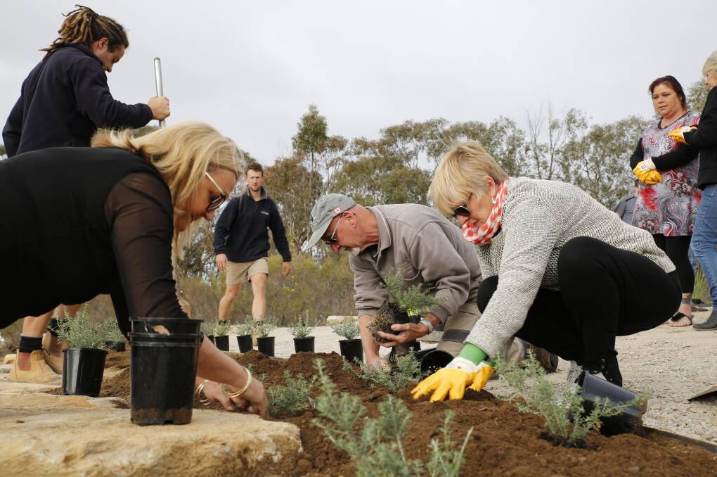 NURTURING: Families help plant trees at the Garden of Angels. Ian Delves, right, attended in memory of his sister Valerie. Picture: EMMA D'AGOSTINO