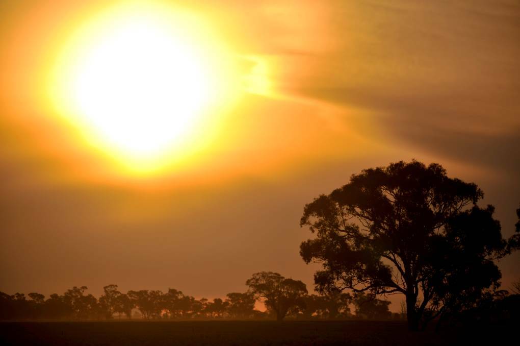 It's going to be hot this week, with temperatures at or above 30 degrees in Bendigo on all but one day of the week.