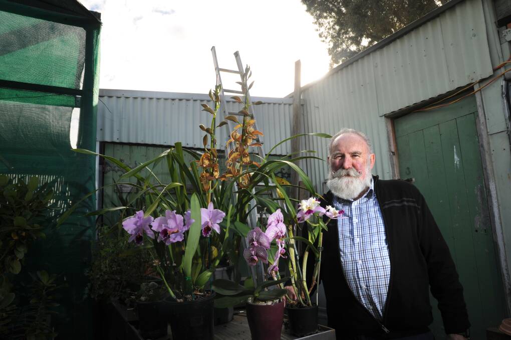 Georg Hein with a few of his orchids. Picture: NONI HYETT
