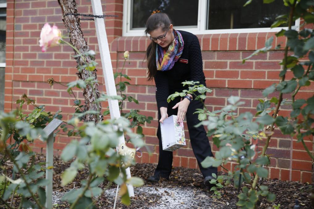REMEMBERING: Bendigo Health pastoral care services manager Karen Lunney scattering the ashes of messages left on the Trees of Remembrance at Christmas.