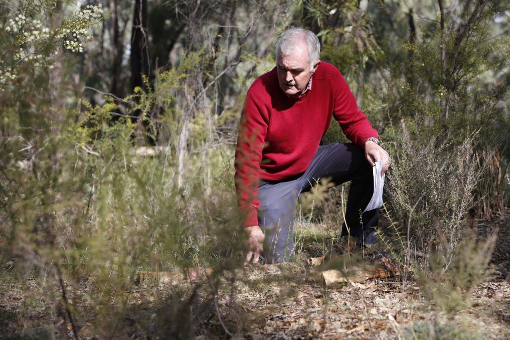 The Bendigo Remembrance Park is not the only central Victorian cemetery with a story. We met historian Alan McLean at the old Rushworth Cemetery earlier this year. Click on the image for more about his story. Picture: EMMA D'AGOSTINO