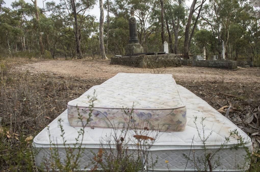 The mattresses dumped at White Hills Remembrance Park. Picture: DARREN HOWE