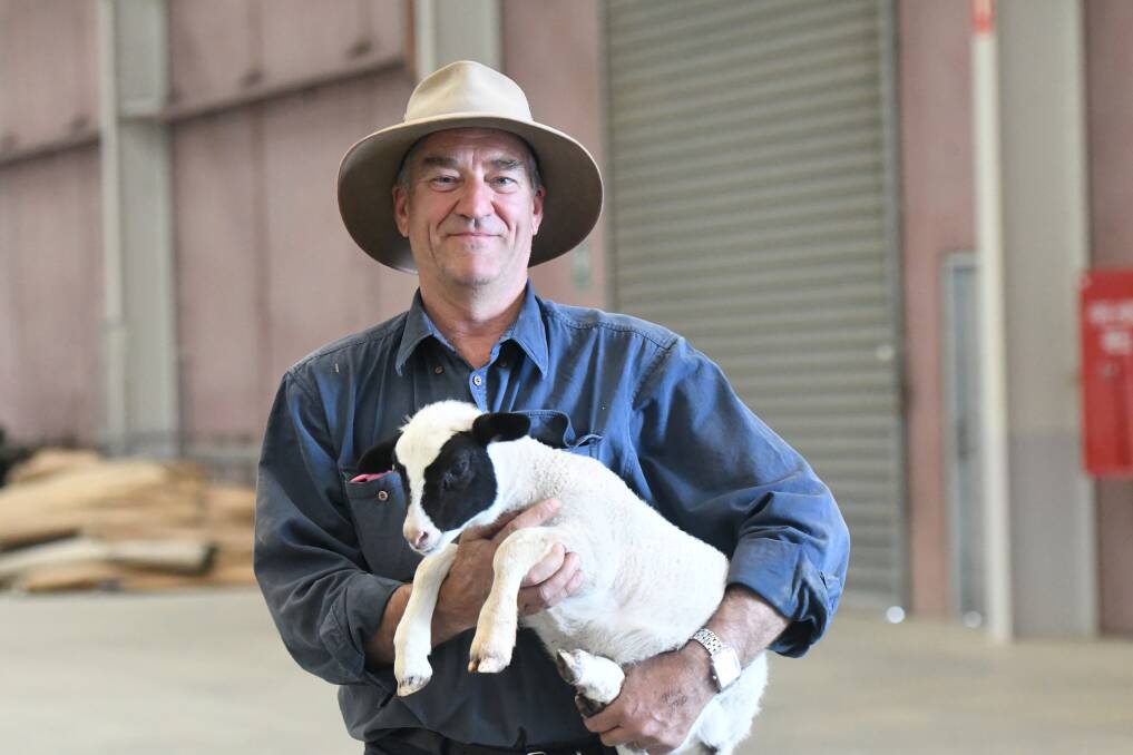 Malcolm Hull, of Sports Shear Victoria, gets set for the Bendigo Agricultural Show. Picture: NONI HYETT