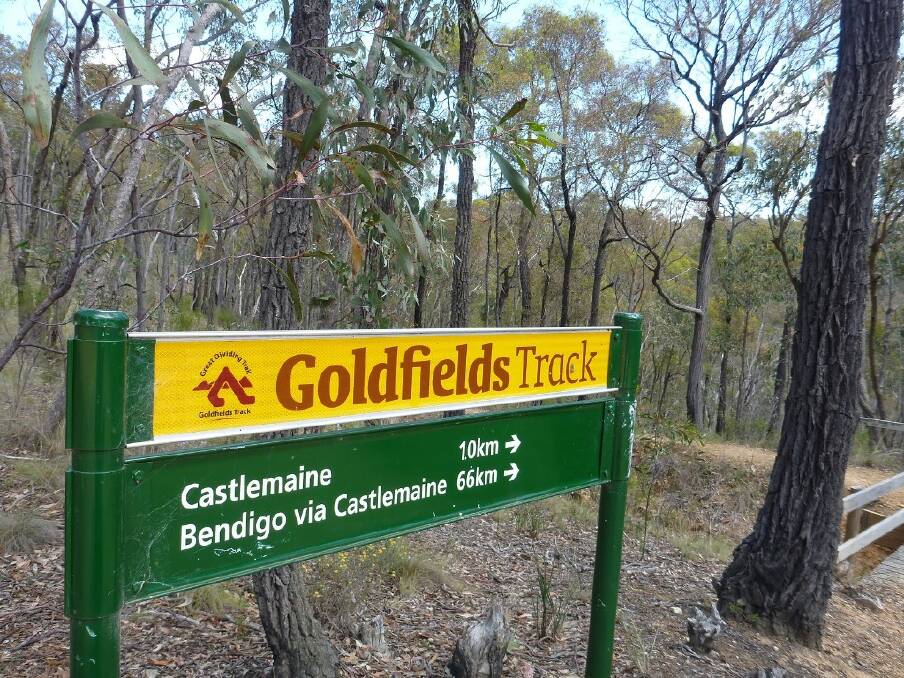 Adventure awaits in the goldfields