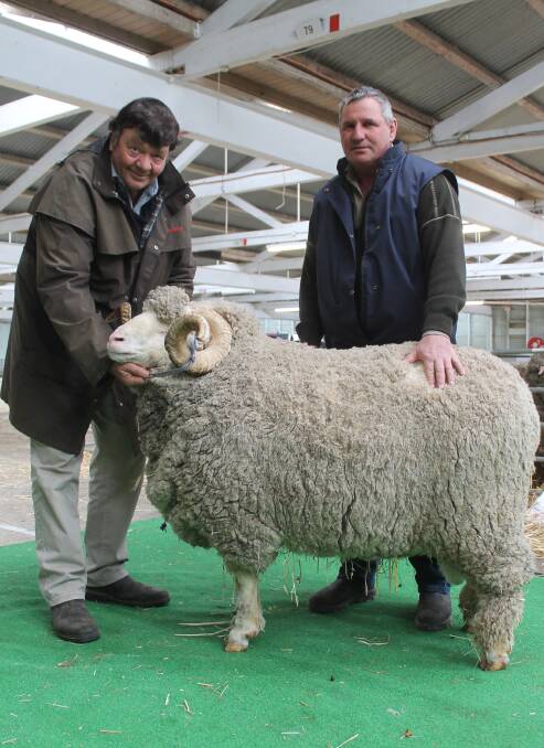 Wal Merriman and Neil Collins show off the top-priced ram.