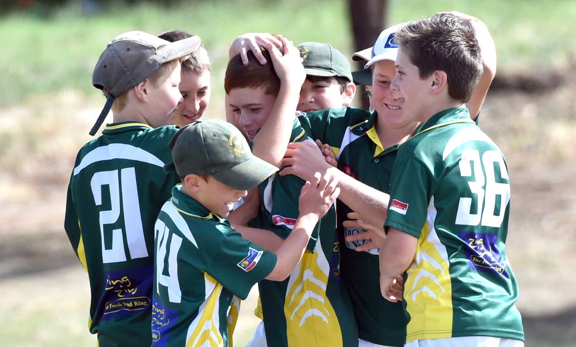 NEW FORMAT: Bendigo is one of 17 associations across the country to trial Cricket Australia's new junior program. Picture: GLENN DANIELS