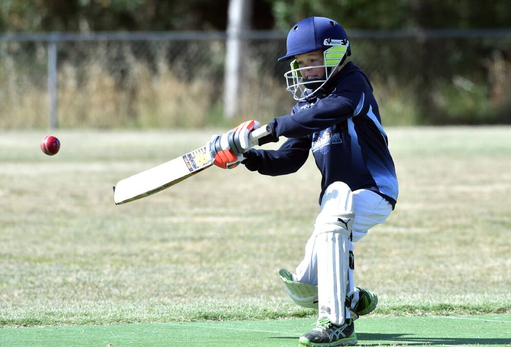 REVAMP: The Bendigo District Cricket Association is one of 17 competitions across Australia that will trial new Cricket Australia junior formats this coming season.