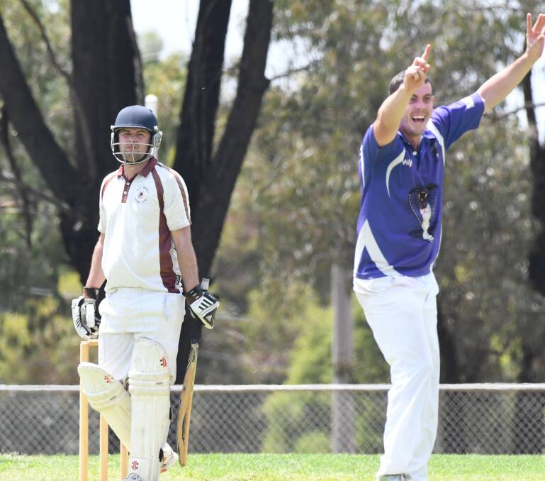 HOWZAT: Golden Gully's Bradley Smith successfully appeals for the lbw wicket of West Bendigo's Dion Prange at California Gully Oval on Saturday. Prange made eight, while Smith finished with 1-35. The Redbacks have a score of 178 to defend against the Cobras. Pictures: NONI HYETT