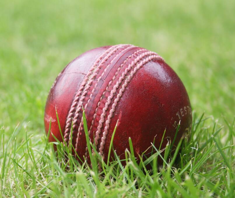 Cricket season continues