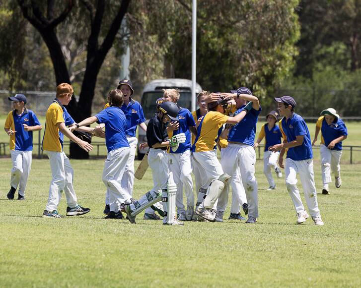 JUBILATION: BSE players show plenty of excitement after taking the final wicket to win the Year 7 boys state cricket title this week.