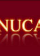 The NUCA logo