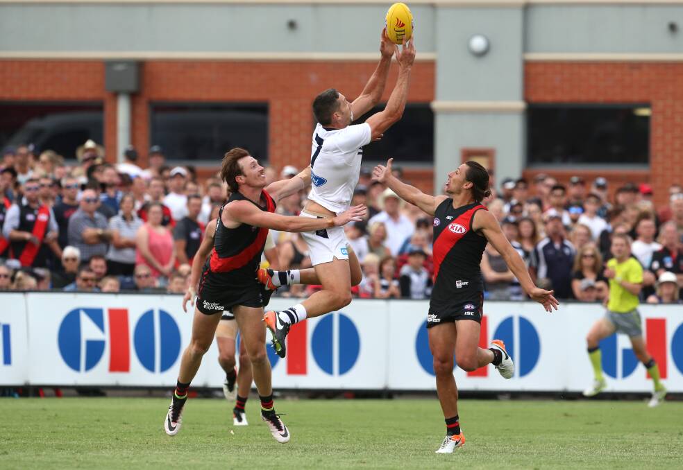 STRONG GRAB: Geelong's Harry Taylor takes a mark inside 50. Taylor kicked one goal for the Cats, who dominated the second half. Picture: GLENN DANIELS