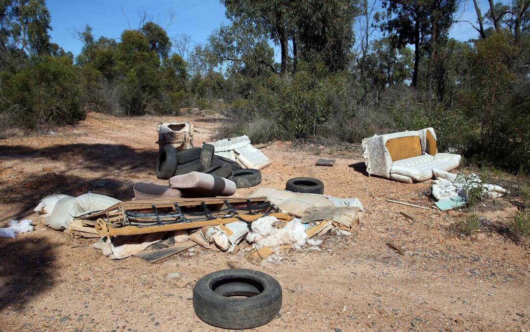 WASTELAND: Governments use tip fees as a price lever to encourage recycling and reuse – but does it cause people to instead dump their rubbish in bushland? Picture: GLENN DANIELS