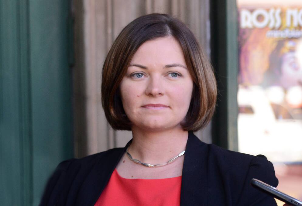 LISA CHESTERS: 'Someone on $1,000,000 will get a $16,750 tax cut tonight while families will suffer the most,' the Labor MP says. 'A single mother with an income of $87,000 with two children in high school is $4,463 worse off per year as a result of tonight’s budget.'