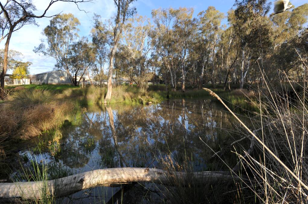 SET TO GO: Frogs, turtles and lizards live in two dams in the patch of bushland slated for development. Picture: NONI HYETT

