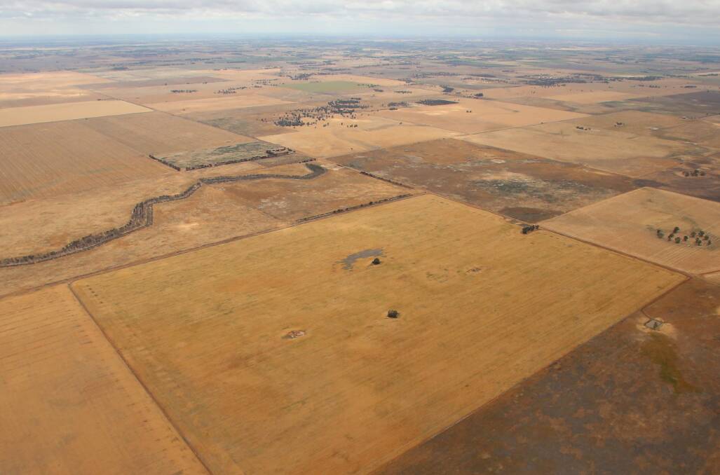 SHADES OF BROWN: Aerial photographs between Bendigo and Pyramid Hill reveal paddocks left fallow and crops turned brown from a hot and dry October. Pictures: GLENN DANIELS