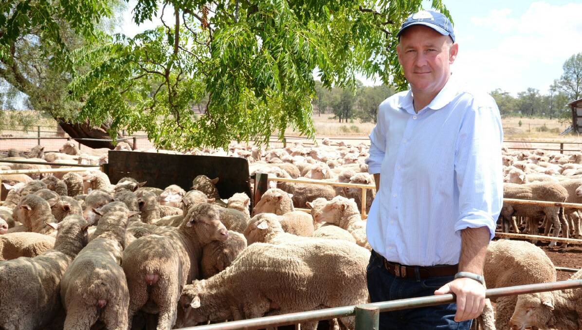 NO CHANCE: Australian Wool Innovation chief executive Stuart McCullough says the industry cannot afford to reduce its 2 per cent levy.