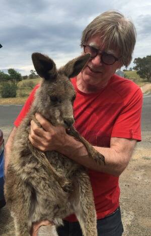 ROO RESCUE: Marcus Ward with one of the kangaroos injured in the Lancefield fire. Photo: Pastoria East Wildlife Shelter
