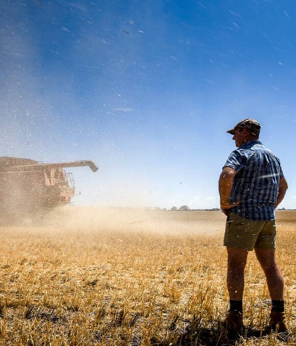 TOUGH TIMES: Birchip farmer Leon Hogan's wheat harvest was down 80 per cent this season due to the drought gripping much of Victoria. Picture: JUSTIN MCMANUS