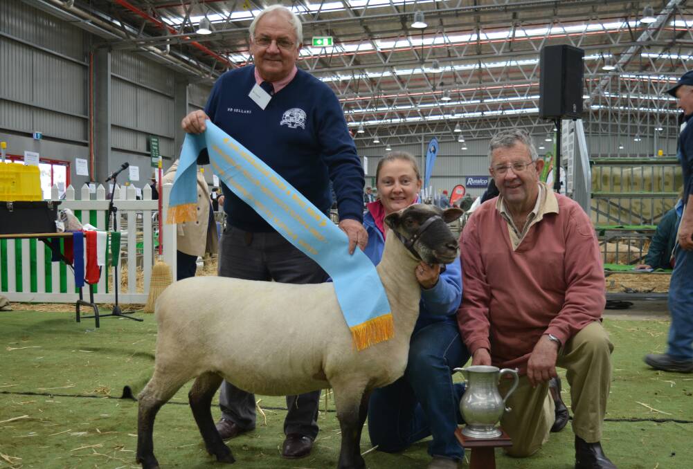 Judge Ian Starritt, "Woomoota", Echuca, sashes the supreme South Suffolk exhibit shown by Amanda Conley, Gotta Rock stud, Yerong Creek. Also pictured is Ian Christie resenting the Colin Christie Memorial Trophy. 