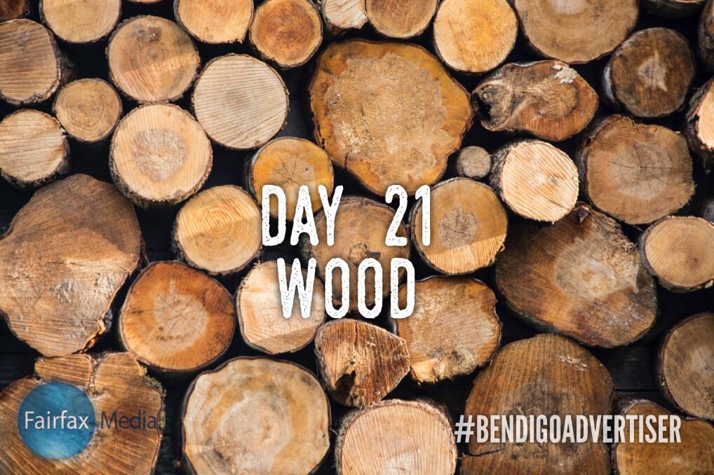 Entries for Day 21: Wood