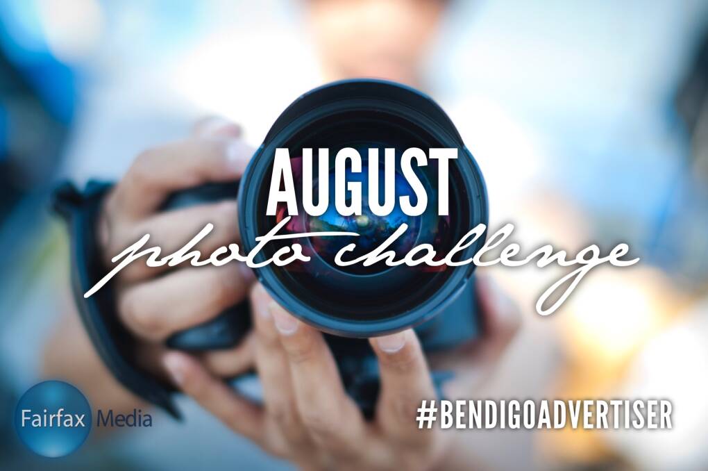 PHOTO CHALLENGE: Did you take part in our August photo challenge? Would you join in if we ran another challenge?