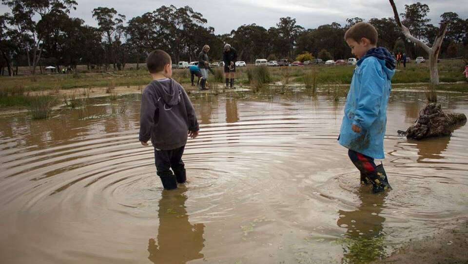 SOAKING IT IN: Volunteers planted over 850 plants at a community wetland that is being formed in Costerfield. Pictures: SUPPLIED