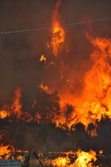 'Bloody scary': Flames rise into the sky at Inglis Street, Ironbark, near to the area Sedgwick firefighters were operating. Picture: JULIE HOUGH