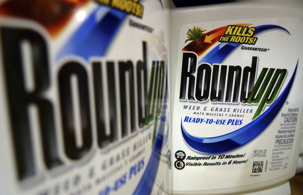 bottles of Roundup herbicide, a product of Monsanto, are displayed on a store shelf in St. Louis. Picture: AP Photo/Jeff Roberson

