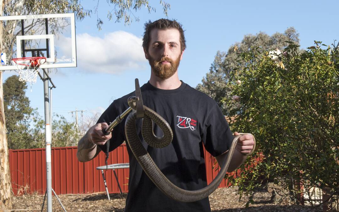 SLITHERY BUSINESS: Chris Page with a pet brown snake. He says as the weather warms wild ones will come out of hibernation. Picture: DARREN HOWE