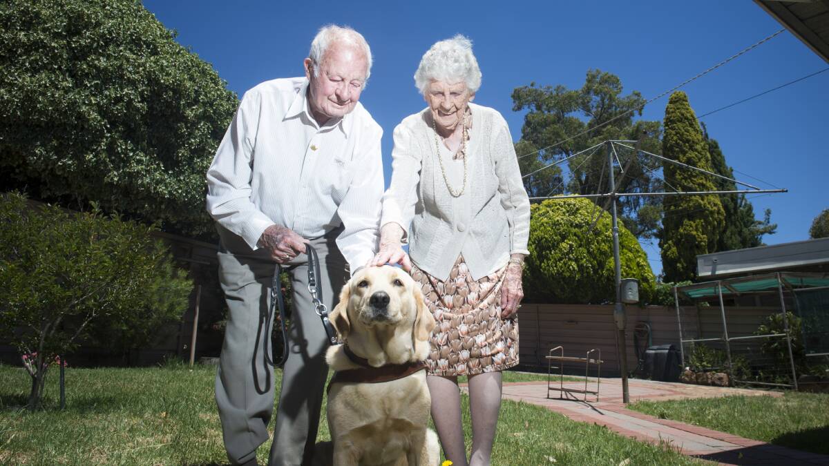 PUPPY LOVE: Olive and Bruce Heider with a guide dog. Pictures: DARREN HOWE