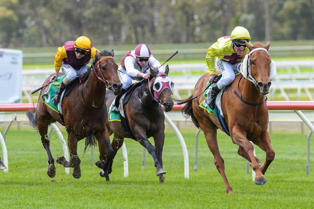 SEE YOU LATER: Brad Rawiller and Go Down leave their rivals in their wake as they cruise to victory in race on Bendigo Cup day. Go Down is trained at Bendigo by Brendon Hearps. Picture: GETTY IMAGES