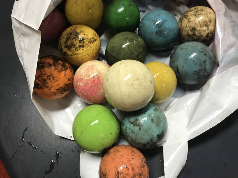 Balls have been bobbing up at BSE this morning. Picture: Bendigo South East College