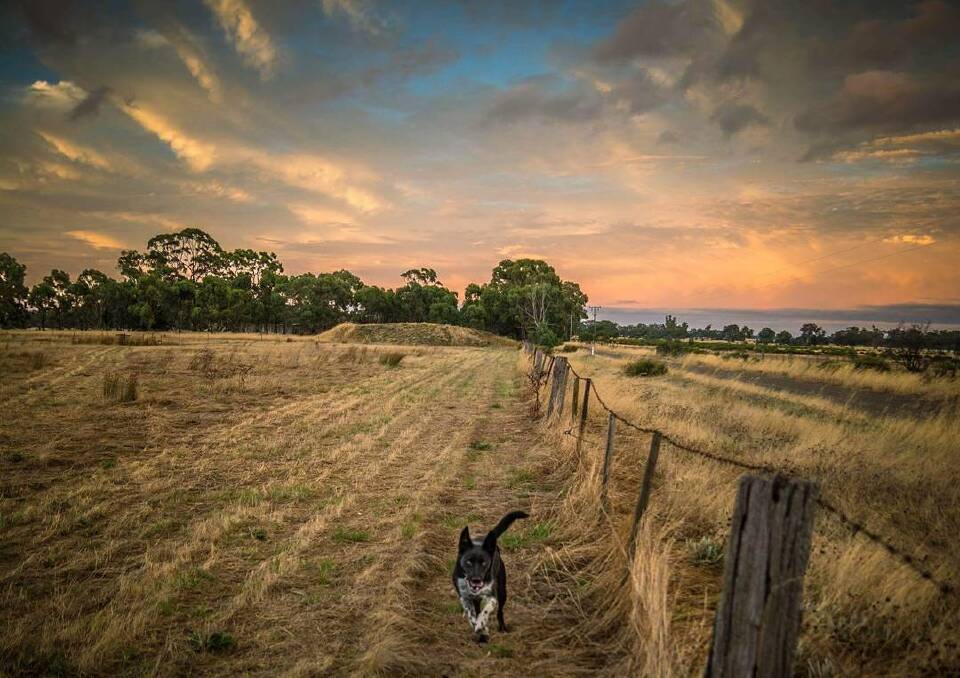 Today's Instagram #picoftheday is by @flissyjohnson - tag your weather pics #bendigoweather and we'll feature the best ones here.