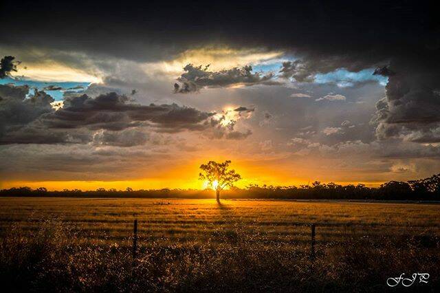Today's Instagram #picoftheday is by @flissyjohnsonphotography - tag your weather pics #bendigoweather and we'll feature the best ones here.