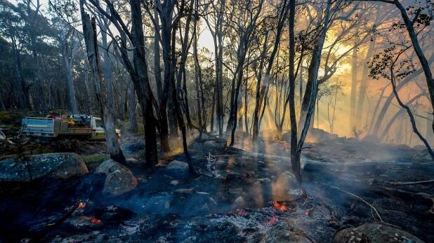 Environment department officers at a spot fire on Jacqueline Lehmann's property. Photo: Justin McManus